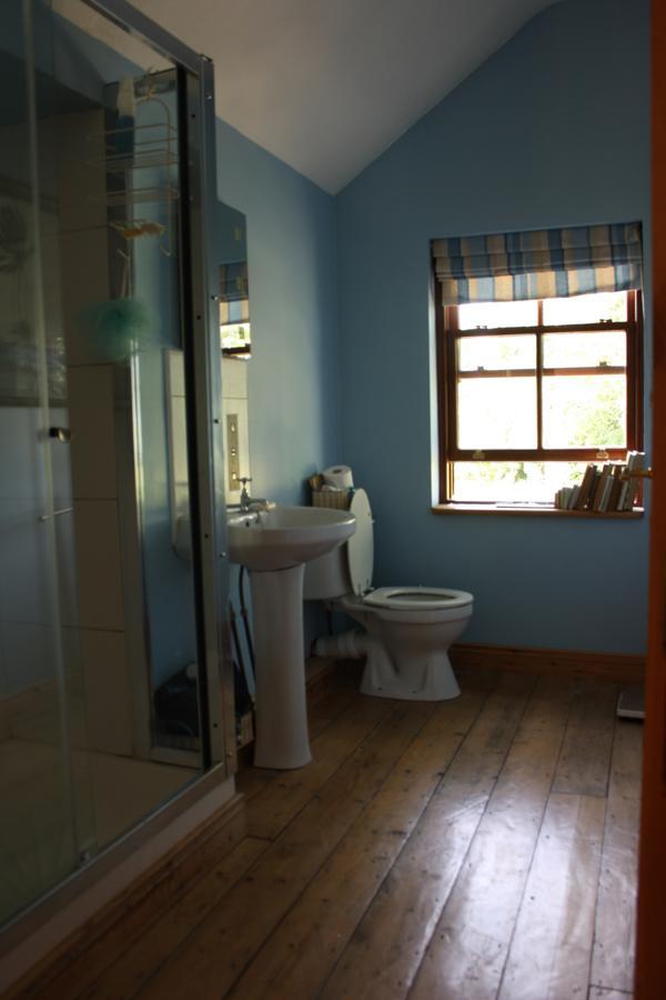 Oldfarm Villa Nenagh Esterno foto