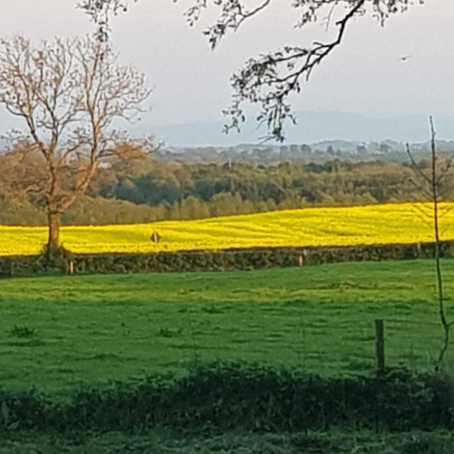 Oldfarm Villa Nenagh Esterno foto